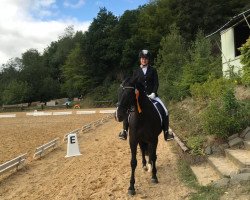 dressage horse Look at Lumm (Connemara Pony, 2012)