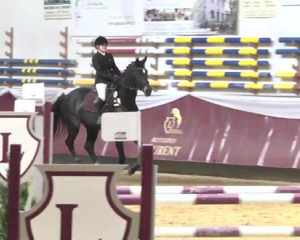 Springturnier Reiterhof Laurent 2015