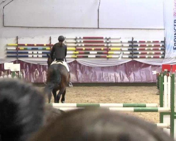 Springturnier Reiterhof Laurent 2015