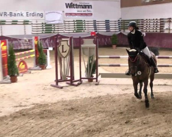 Springturnier Reiterhof Laurent 2015