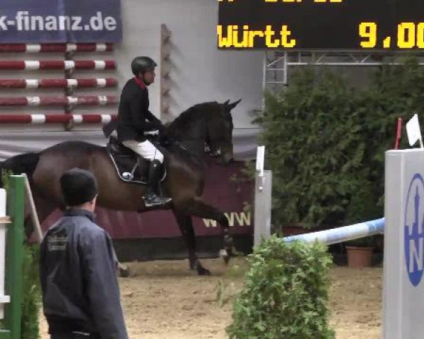 Springturnier Reiterhof Laurent 2015