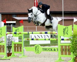 jumper Uber (KWPN (Royal Dutch Sporthorse), 2001, from Pierrot)