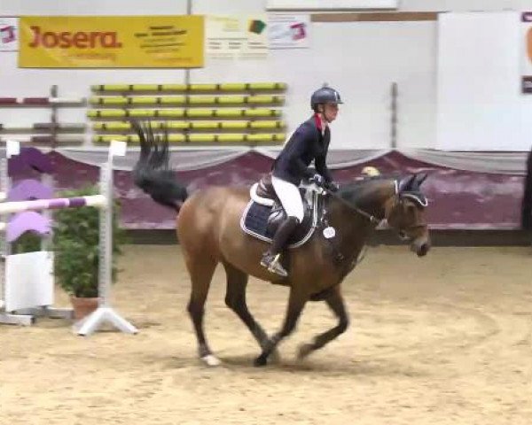 Springturnier Reiterhof Laurent 2015