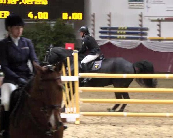 Springturnier Reiterhof Laurent 2015