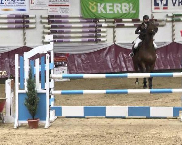Springturnier Reiterhof Laurent 2015