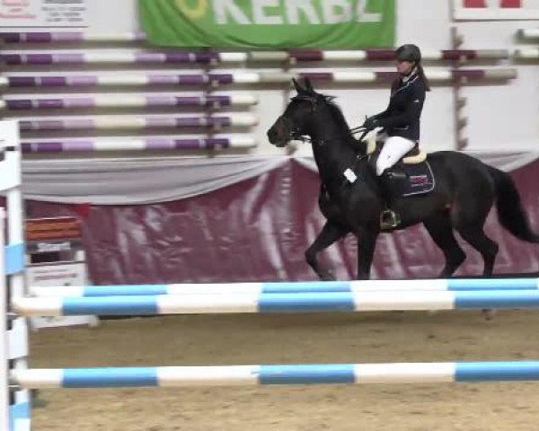 Springturnier Reiterhof Laurent 2015