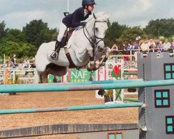 jumper Razorlite II (British Riding Pony, 2000)