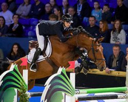 Springpferd Edison van Schuttershof (Belgium Sporthorse, 2010, von Darco)