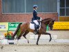 broodmare Juliette WE (German Riding Pony, 2017, from Cosmopolitan NRW)