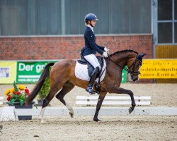 broodmare Juliette WE (German Riding Pony, 2017, from Cosmopolitan NRW)