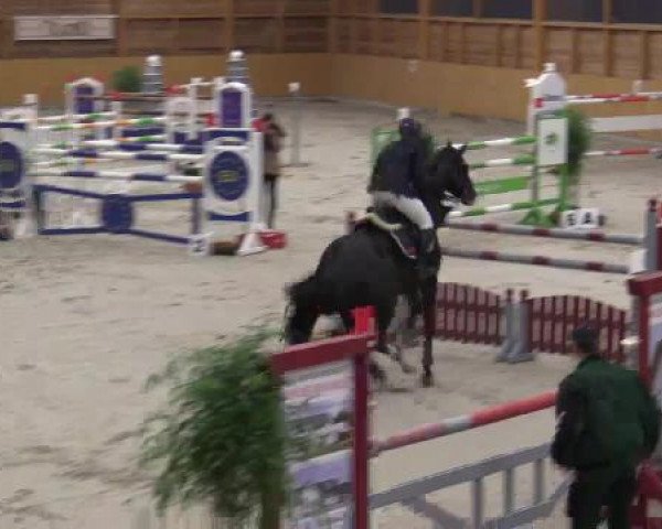 Hallenspringturnier Xanten - Reitanlage Miß 2015