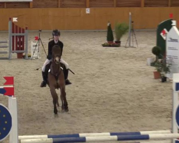 Hallenspringturnier Xanten - Reitanlage Miß 2015