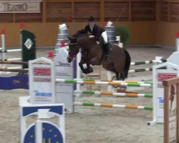 Hallenspringturnier Xanten - Reitanlage Miß 2015