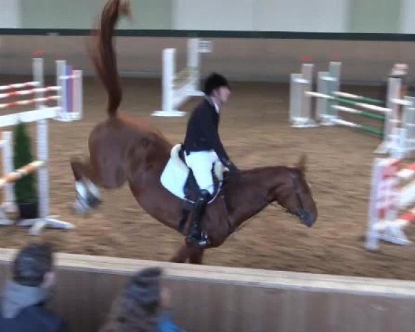 Hallen-Dressur- und Springturnier Iserlohn 2015