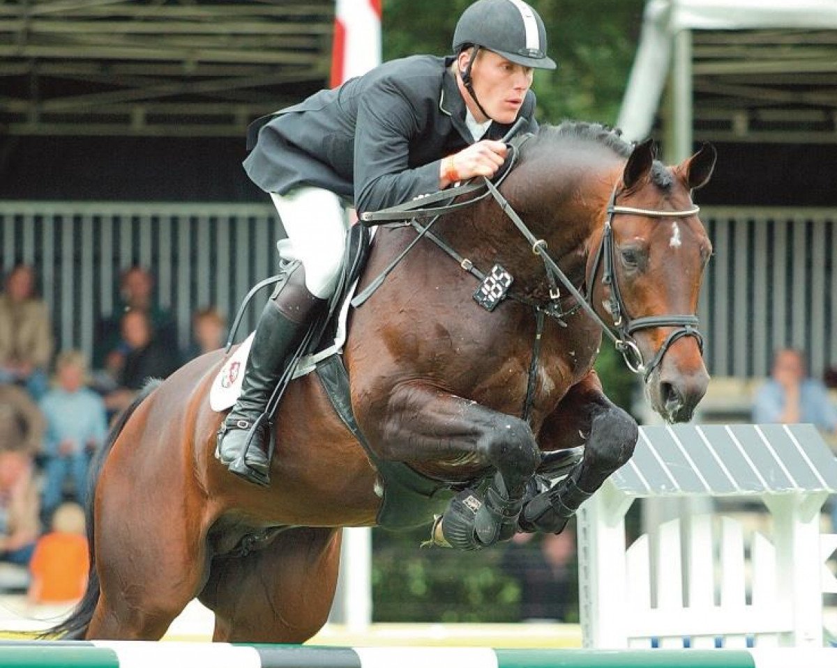 Deckhengst Co-Pilot (Westfale, 1997, von Contender)