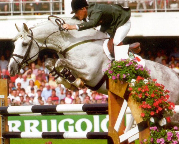 horse Cruising (Irish Sport Horse, 1985, from Sea Crest)