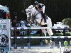 jumper Charming Mood du Charmoie (Belgium Sporthorse, 2008, from Winningmood van de Arenberg)