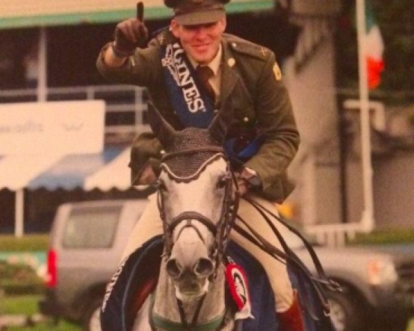 Zuchtstute Mo Chroi (Irish Sport Horse, 1997, von Cruising)