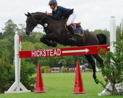 Pferd Fastrona van de Daelhoeve (Belgisches Warmblut, 2005, von Lambada van Berkenbroeck)