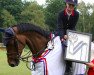 jumper Djetske (KWPN (Royal Dutch Sporthorse), 2008, from Warrant)