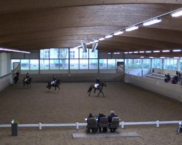 Hallen-Dressur- und Springturnier Iserlohn 2015