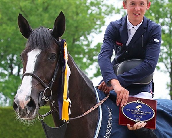 jumper Eva W (KWPN (Royal Dutch Sporthorse), 2009, from Lexicon)