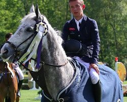 Springpferd Etoile de Loma (KWPN (Niederländisches Warmblut), 2009, von Clinton)