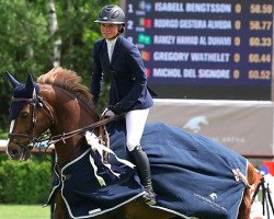 Springpferd Fernando (Belgisches Warmblut, 2005, von Triomphe de Muze)