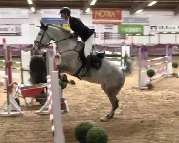 Springturnier Reiterhof Laurent 2015