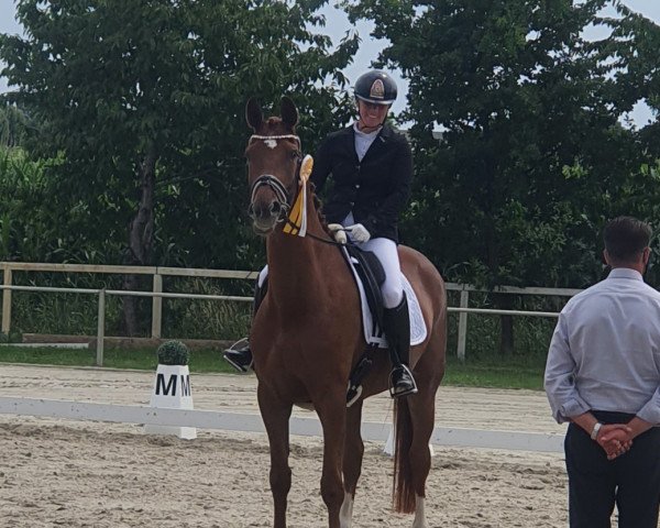 dressage horse For Real Special S (Hanoverian, 2015, from Flanell)
