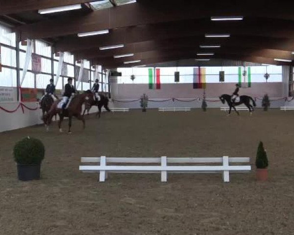 Hallen-Dressur-Late Entry Rhede-Krommert 2015