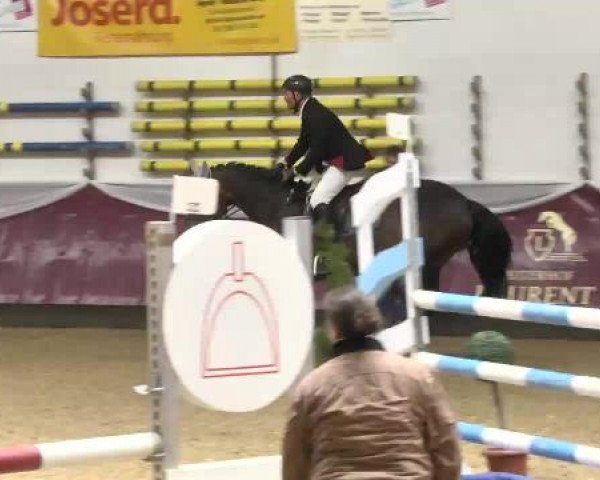 Springturnier Reiterhof Laurent 2015