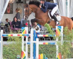 jumper Certain vd Begijnakker (Belgium Sporthorse, 2008, from VDL Cardento 933)