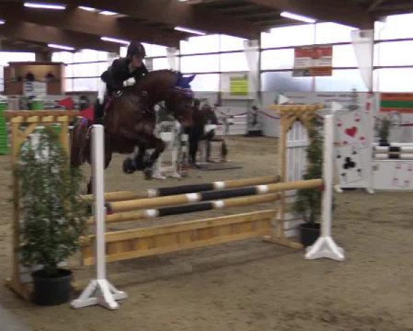 Reitsportzentrum Gerd Könemann Reit- und Springturnier 2015