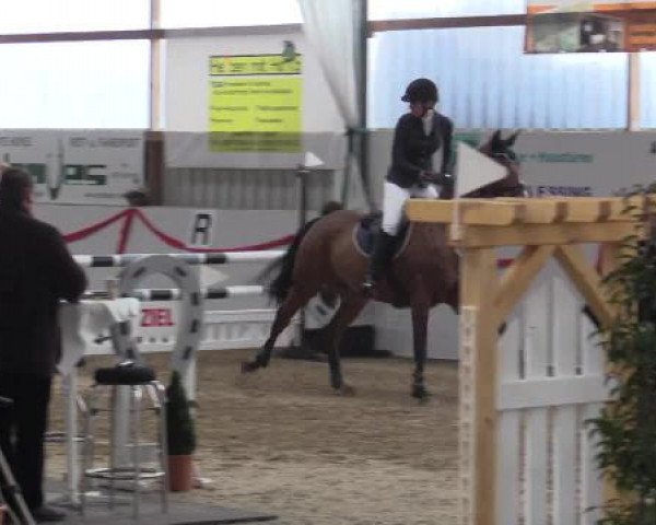 Reitsportzentrum Gerd Könemann Reit- und Springturnier 2015