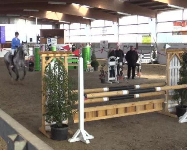 Reitsportzentrum Gerd Könemann Reit- und Springturnier 2015