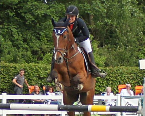 jumper Lord Bayron 2 (Italian Warmblood, 1998, from Campero)