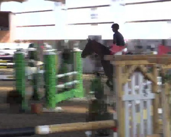 Reitsportzentrum Gerd Könemann Reit- und Springturnier 2015
