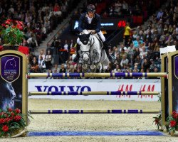 jumper Cypriana 3 (Oldenburg show jumper, 2006, from Lord Pezi)