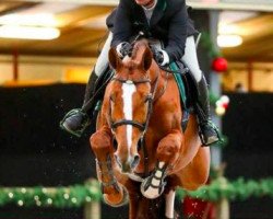 jumper Famke Adina (KWPN (Royal Dutch Sporthorse), 2010, from Bacardi VDL)