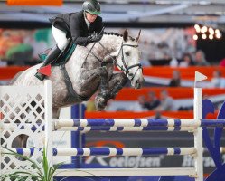 jumper F-ninjo (KWPN (Royal Dutch Sporthorse), 2010, from Napels)