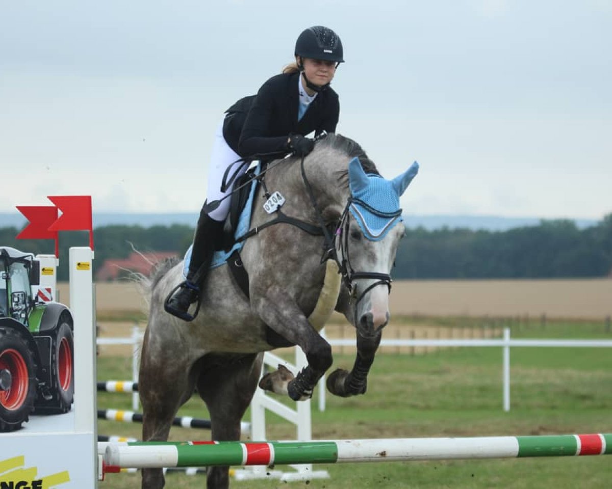 Springpferd Champaleo KW (Oldenburger Springpferd, 2015, von Chamberlain D)
