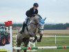 jumper Champaleo KW (Oldenburg show jumper, 2015, from Chamberlain D)