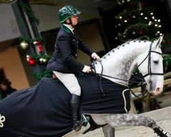 jumper Elmo (KWPN (Royal Dutch Sporthorse), 2009, from Larino)