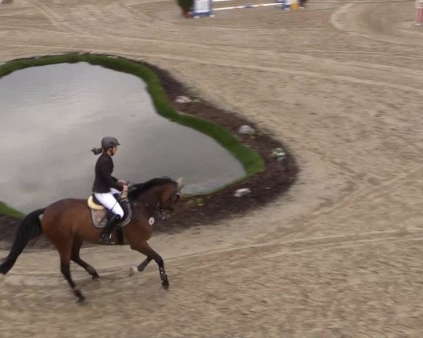 Balve-Wocklum Regio 2015