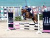 jumper Dimanche (German Riding Pony, 2006, from FS Don't Worry)