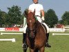 dressage horse Fellon G (Hanoverian, 1995, from Feiner Graf)