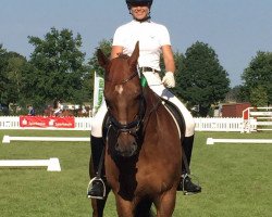 dressage horse Fellon G (Hanoverian, 1995, from Feiner Graf)