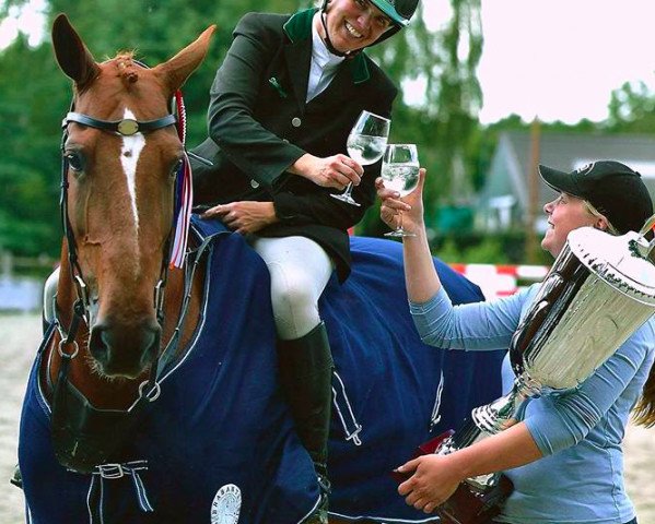 jumper Dha Dha (KWPN (Royal Dutch Sporthorse), 2008, from Douglas)