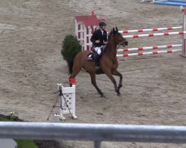 Balve-Wocklum Regio 2015